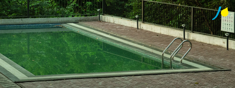 Comment retrouver une eau claire dans sa piscine en 24h ?